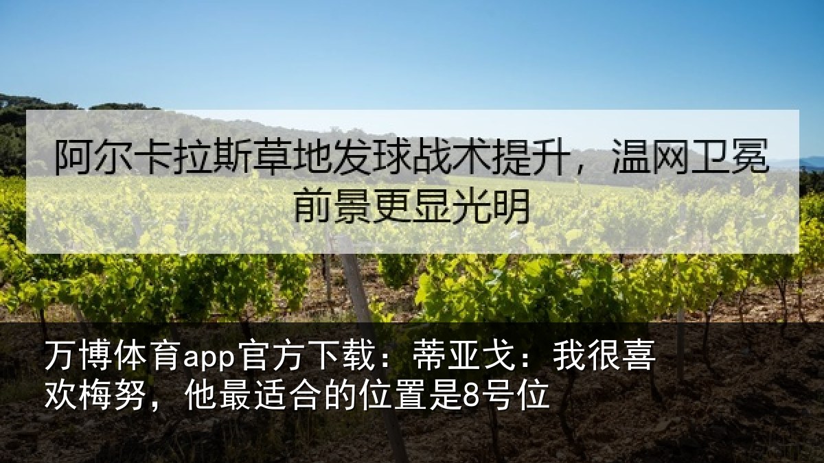 万博体育app官方下载:蒂亚相关情况最适合的位置是8号位