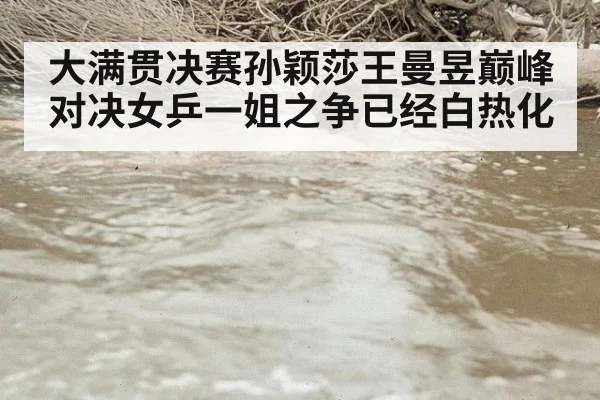 大满贯决赛孙颖莎王曼昱巅峰对决女乒一姐之争已经白热化